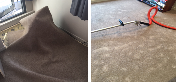 Carpet Flood Damage