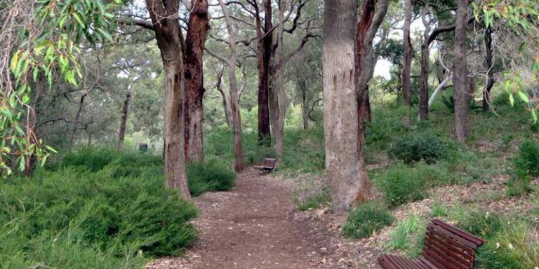 Kings Park and Botanic Garden 800x400 1 768x384