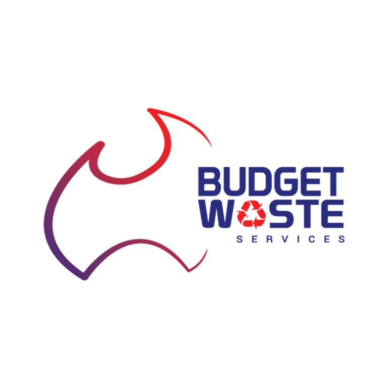 budget full logo 768x768